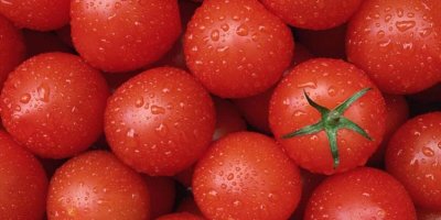 Suka Simpan Tomato Dalam Peti Ais? Ubah Tabiat Ini Serta Merta!
