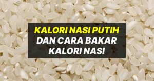 kalori nasi putih