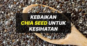 chia seed kebaikan