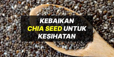 Kebaikan Chia Seed Untuk Kesihatan
