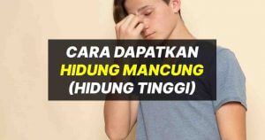 hidung tinggi