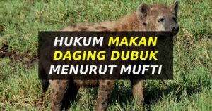 hukum makan daging dubuk