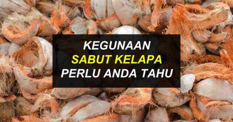 sabut kelapa