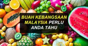 buah kebangsaan malaysia