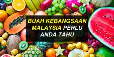 Buah Kebangsaan Malaysia Terkini Perlu Anda Tahu