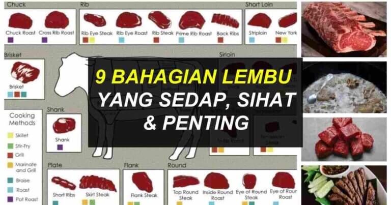 bahagian lembu