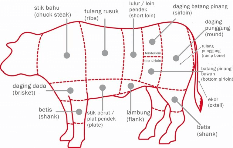 bahagian lembu