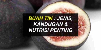 Buah Tin : Khasiat & Fakta Kandungan