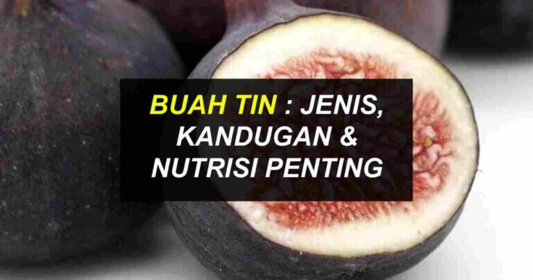 buah tin