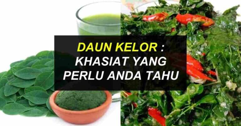 daun kelor